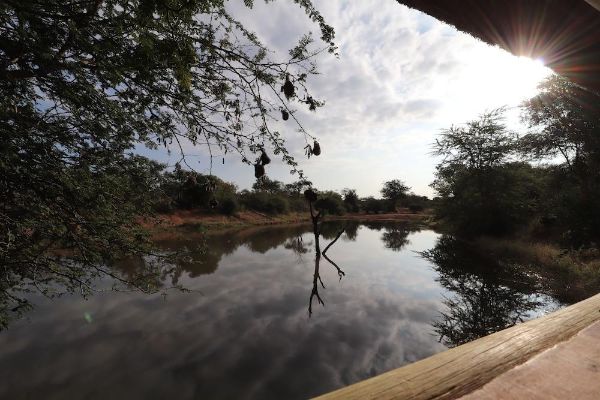 African Rock Lodge (Hoedspruit)